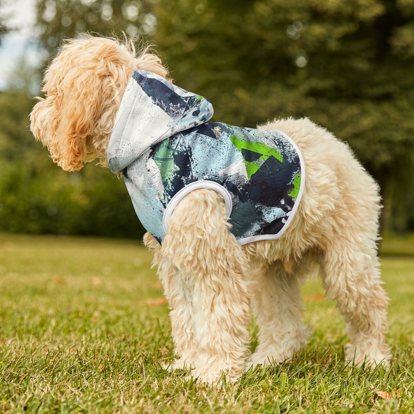 SpiralOutArt© "Skiing the Mexican Alps" Pet Hoodie