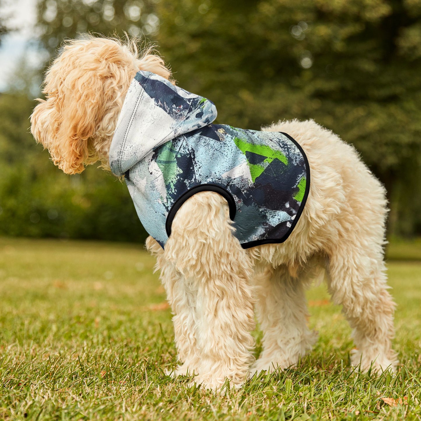 SpiralOutArt© "Skiing the Mexican Alps" Pet Hoodie